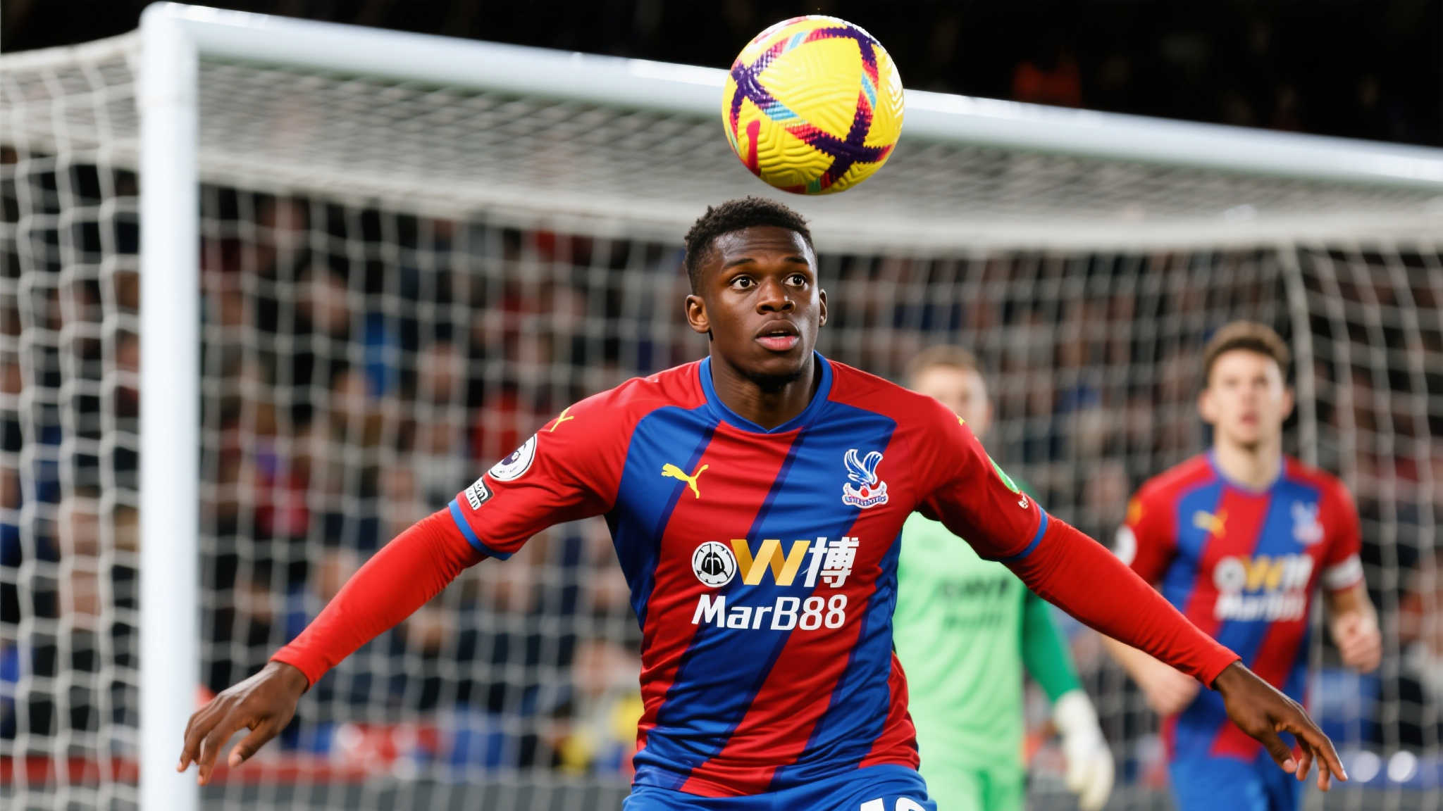 乐鱼体育平台简介